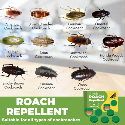 🏠 Safe, Powerful, and Long-Lasting Roach Control – Juxek™ Formula